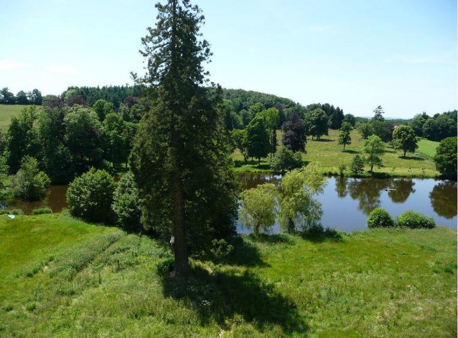 Chateau De Saint-Maixant Екстериор снимка
